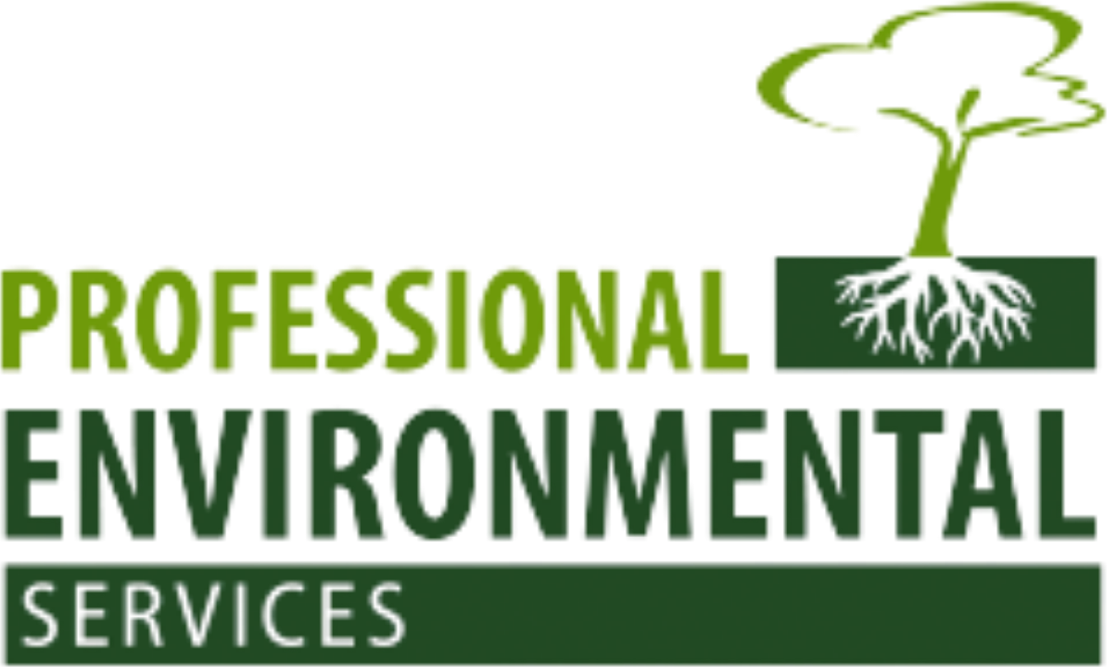Professional Environmental Services